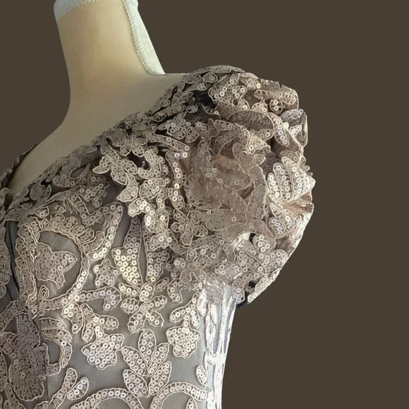 Tadashi Shoji Gown Size 8 Tan/Gold Lace Lined Cap Sleeve Wedding Formal Event